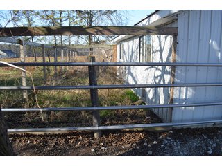 Property photo 5 - Grabill, Indiana Farm Auction